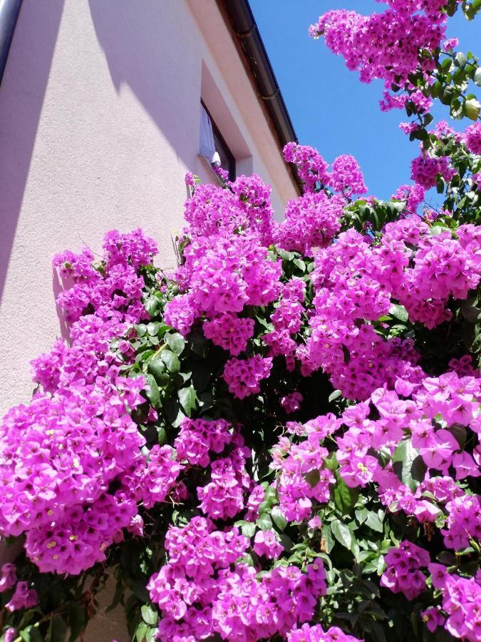 Apartment House Vir-To-All Екстериор снимка
